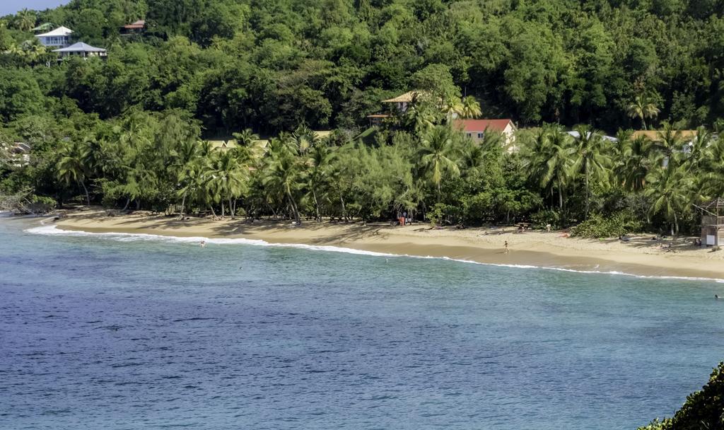 Studio Anse L'Etang Lägenhet Tartane Exteriör bild